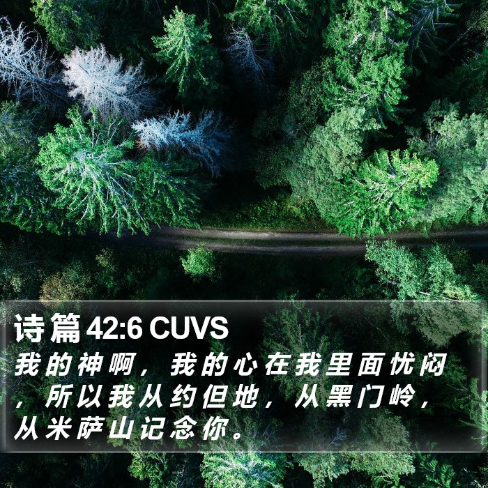 诗 篇 42:6 CUVS Bible Study