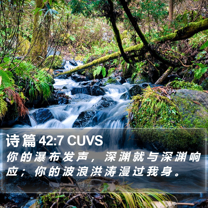 诗 篇 42:7 CUVS Bible Study