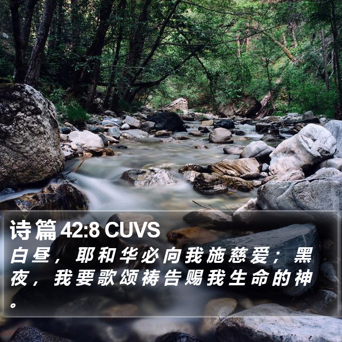 诗 篇 42:8 CUVS Bible Study