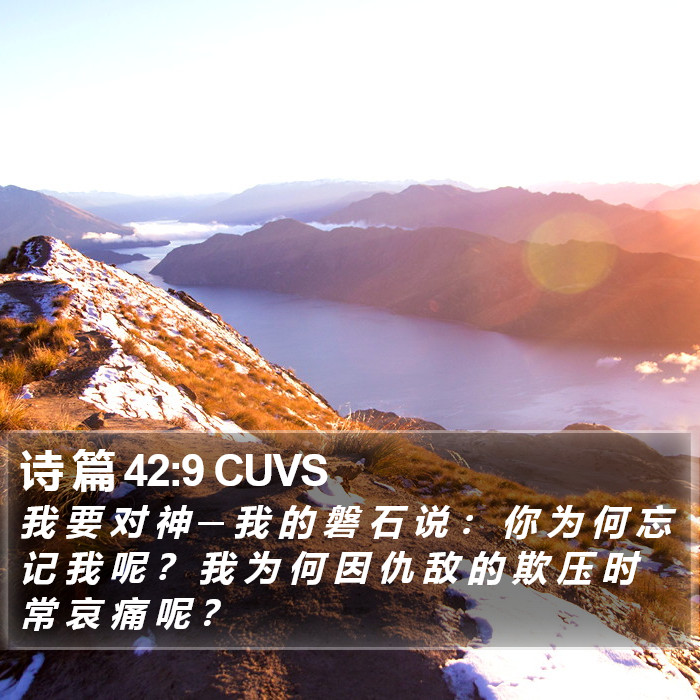 诗 篇 42:9 CUVS Bible Study