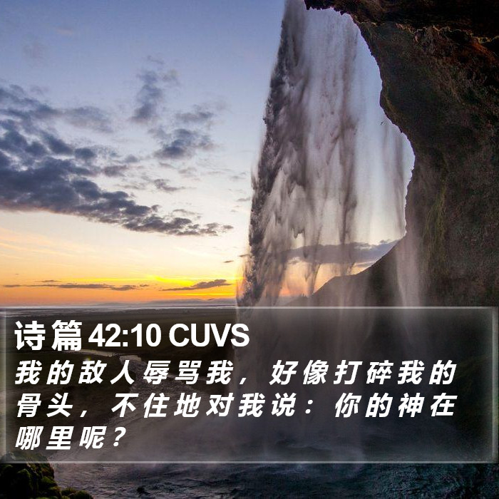 诗 篇 42:10 CUVS Bible Study