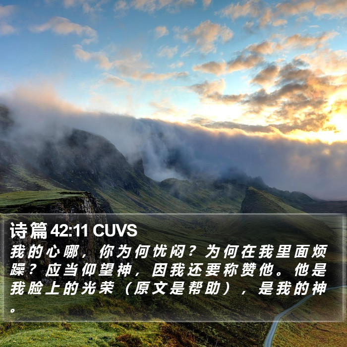 诗 篇 42:11 CUVS Bible Study