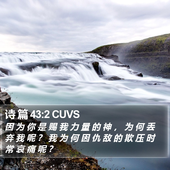 诗 篇 43:2 CUVS Bible Study