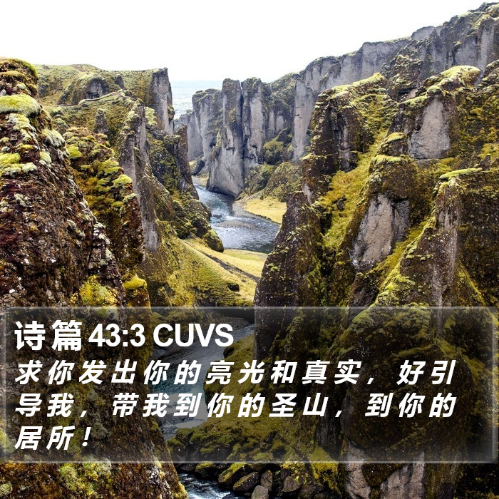 诗 篇 43:3 CUVS Bible Study