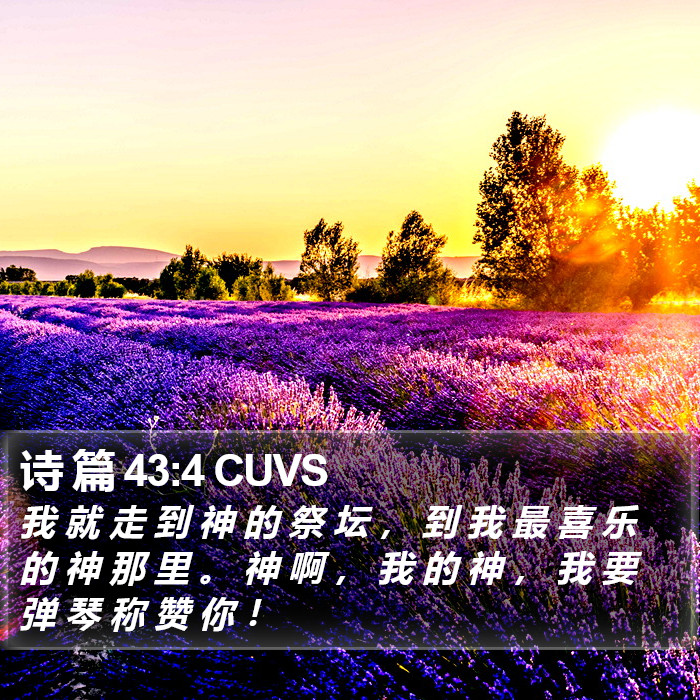 诗 篇 43:4 CUVS Bible Study