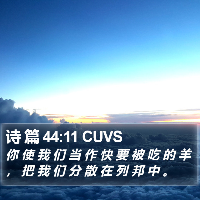 诗 篇 44:11 CUVS Bible Study