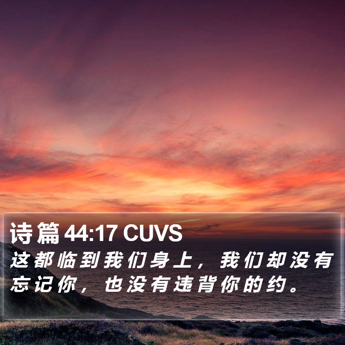 诗 篇 44:17 CUVS Bible Study