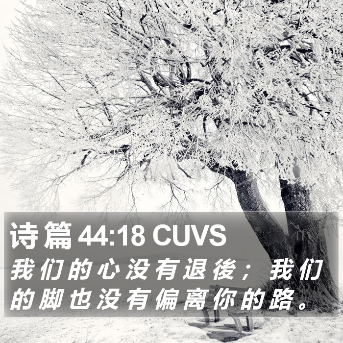 诗 篇 44:18 CUVS Bible Study