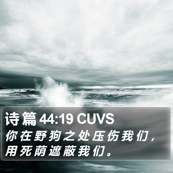 诗 篇 44:19 CUVS Bible Study