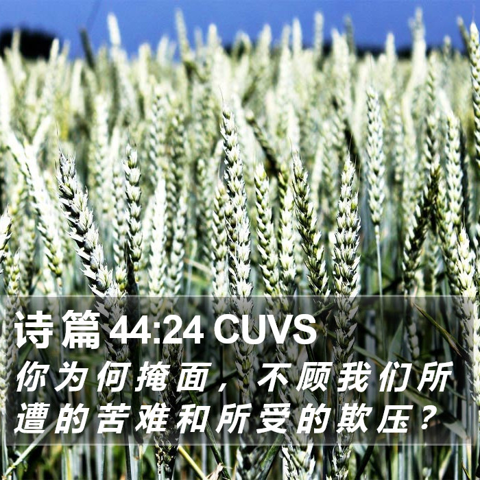诗 篇 44:24 CUVS Bible Study