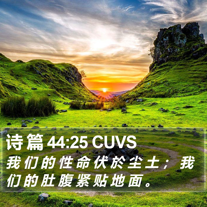 诗 篇 44:25 CUVS Bible Study