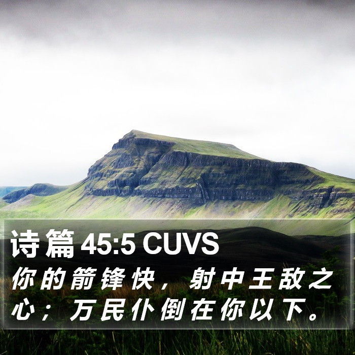 诗 篇 45:5 CUVS Bible Study
