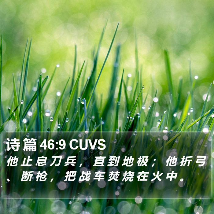 诗 篇 46:9 CUVS Bible Study