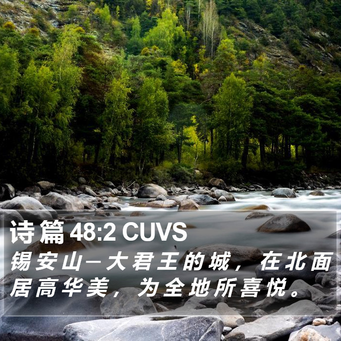 诗 篇 48:2 CUVS Bible Study