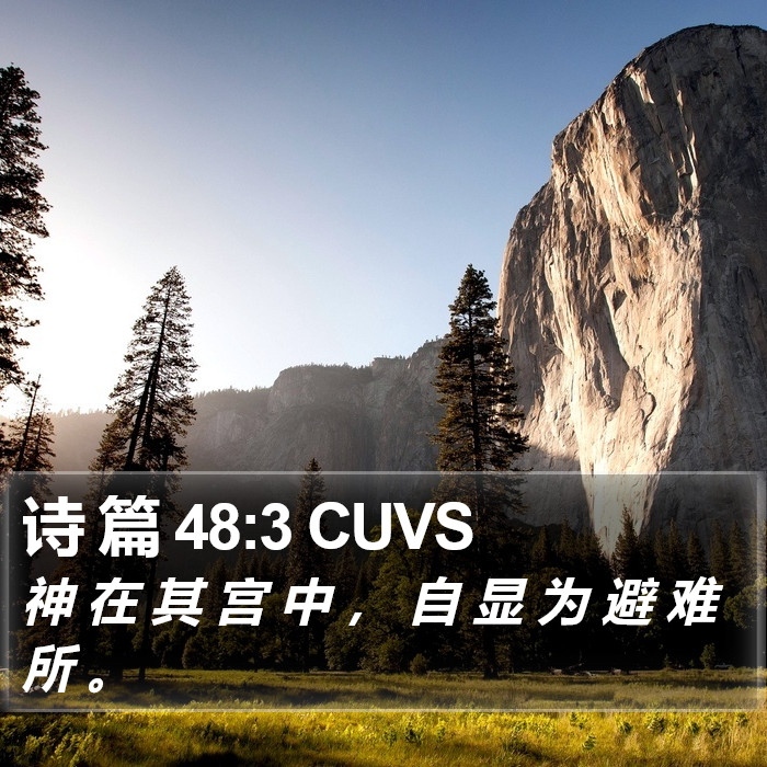 诗 篇 48:3 CUVS Bible Study