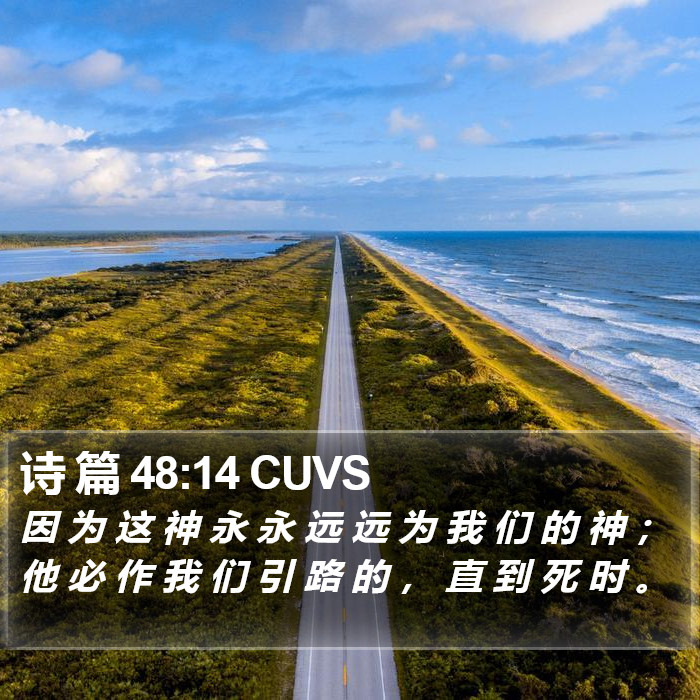 诗 篇 48:14 CUVS Bible Study