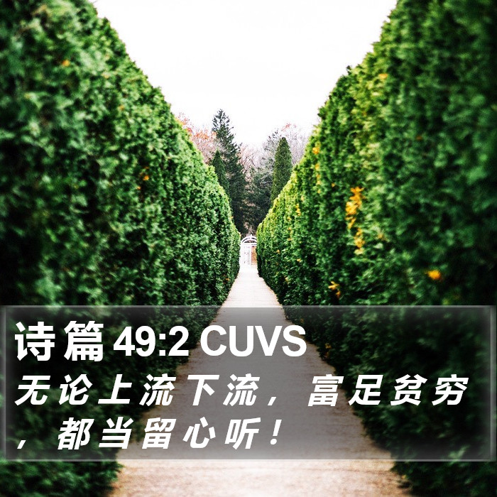 诗 篇 49:2 CUVS Bible Study