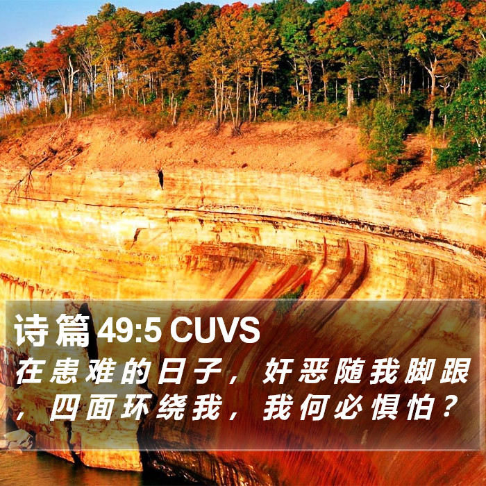 诗 篇 49:5 CUVS Bible Study