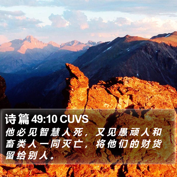 诗 篇 49:10 CUVS Bible Study