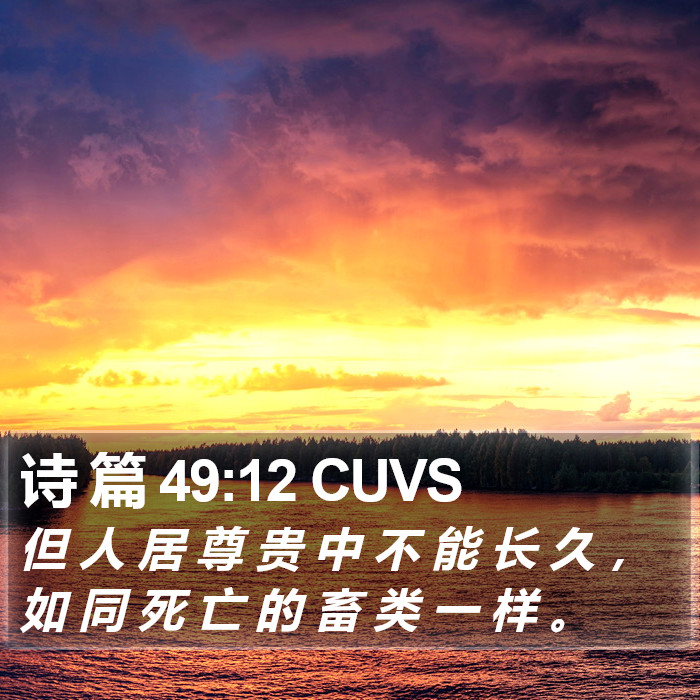 诗 篇 49:12 CUVS Bible Study