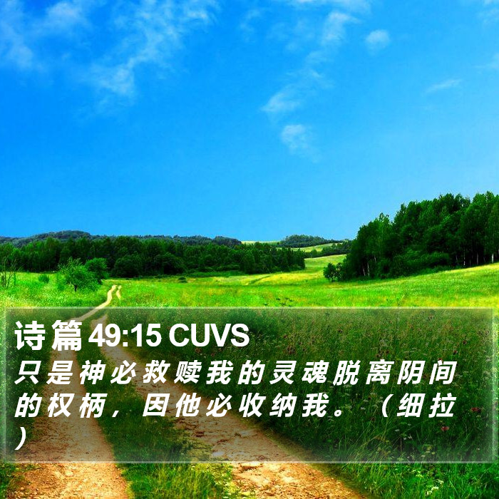 诗 篇 49:15 CUVS Bible Study