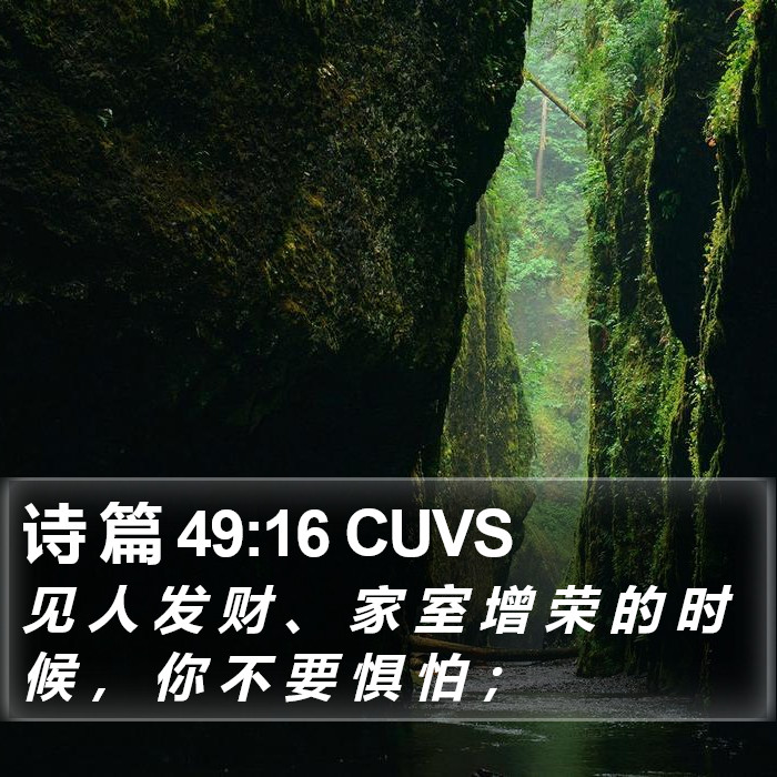 诗 篇 49:16 CUVS Bible Study