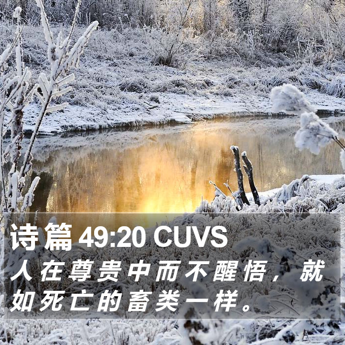 诗 篇 49:20 CUVS Bible Study