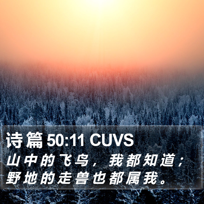 诗 篇 50:11 CUVS Bible Study