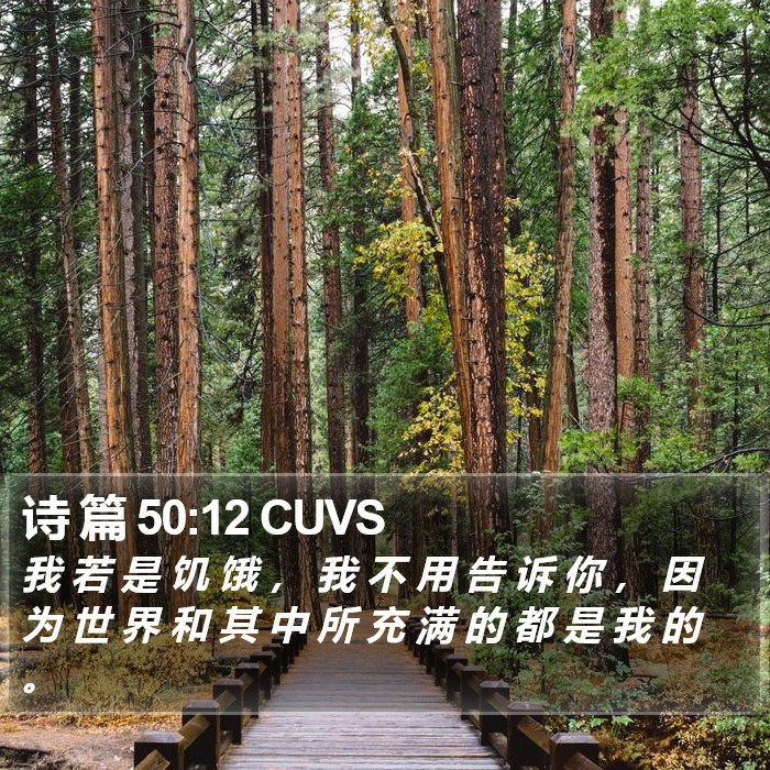 诗 篇 50:12 CUVS Bible Study