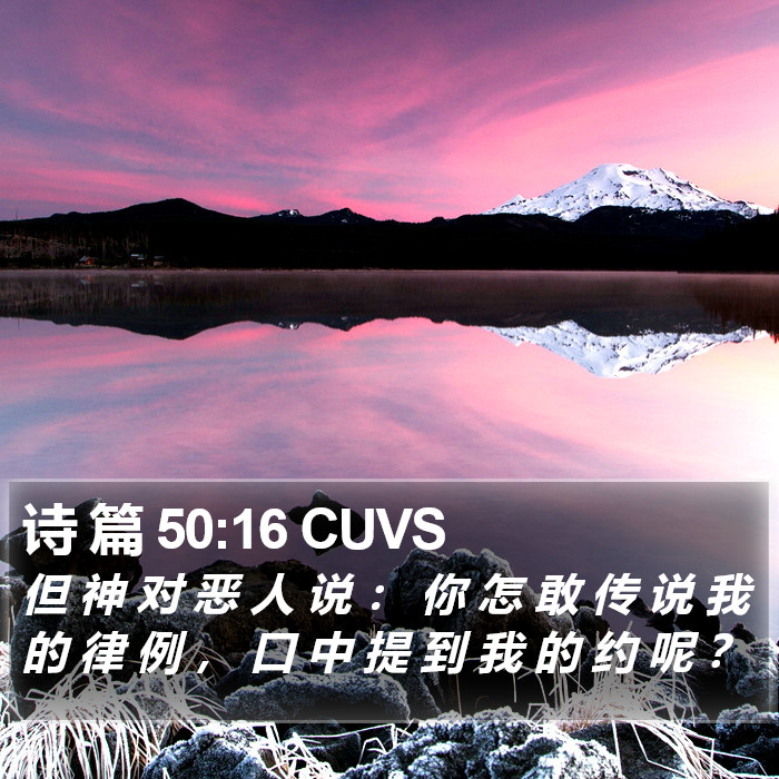 诗 篇 50:16 CUVS Bible Study