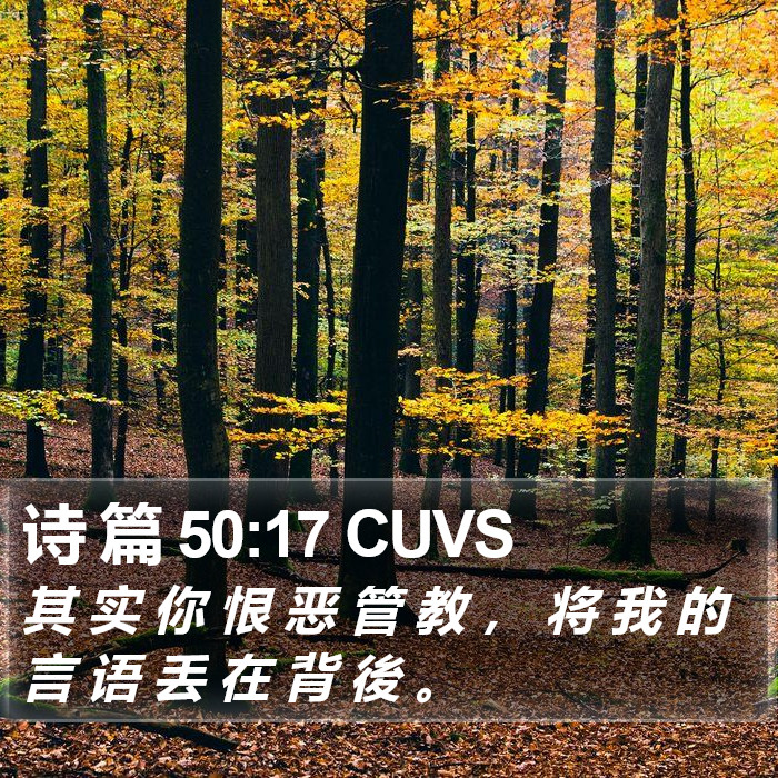 诗 篇 50:17 CUVS Bible Study