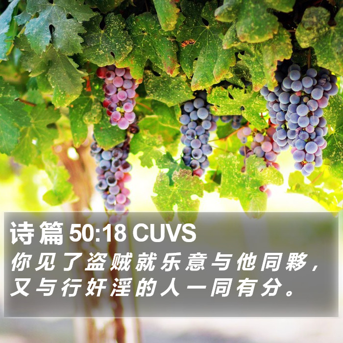 诗 篇 50:18 CUVS Bible Study