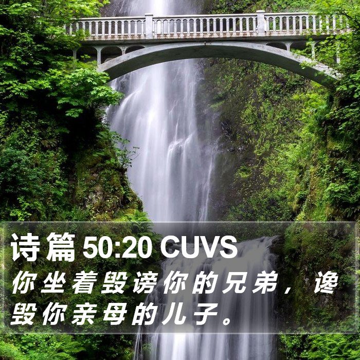 诗 篇 50:20 CUVS Bible Study