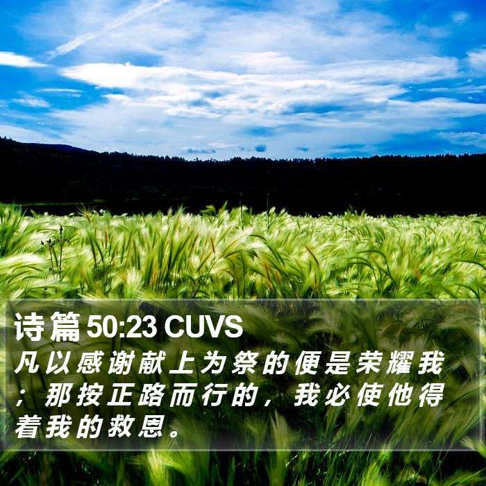 诗 篇 50:23 CUVS Bible Study