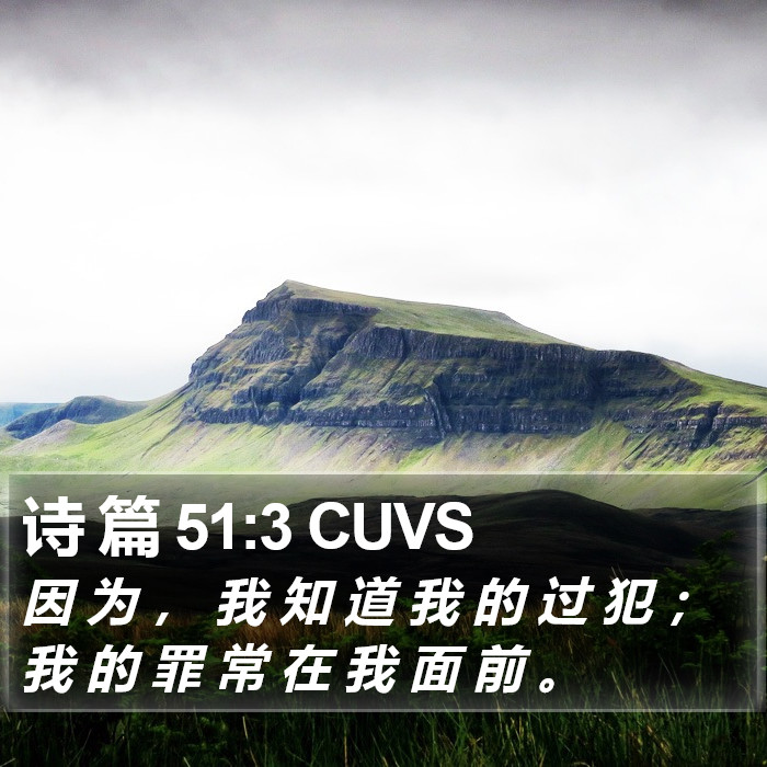 诗 篇 51:3 CUVS Bible Study