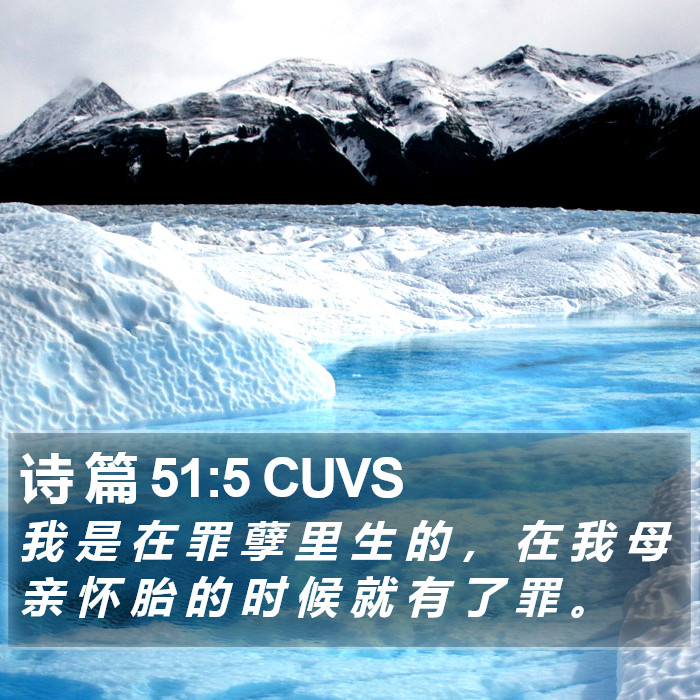 诗 篇 51:5 CUVS Bible Study