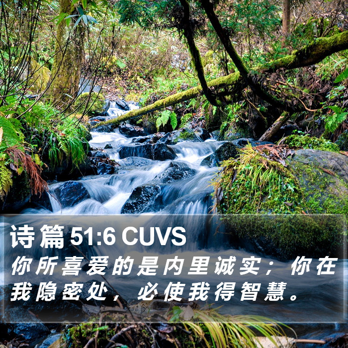 诗 篇 51:6 CUVS Bible Study