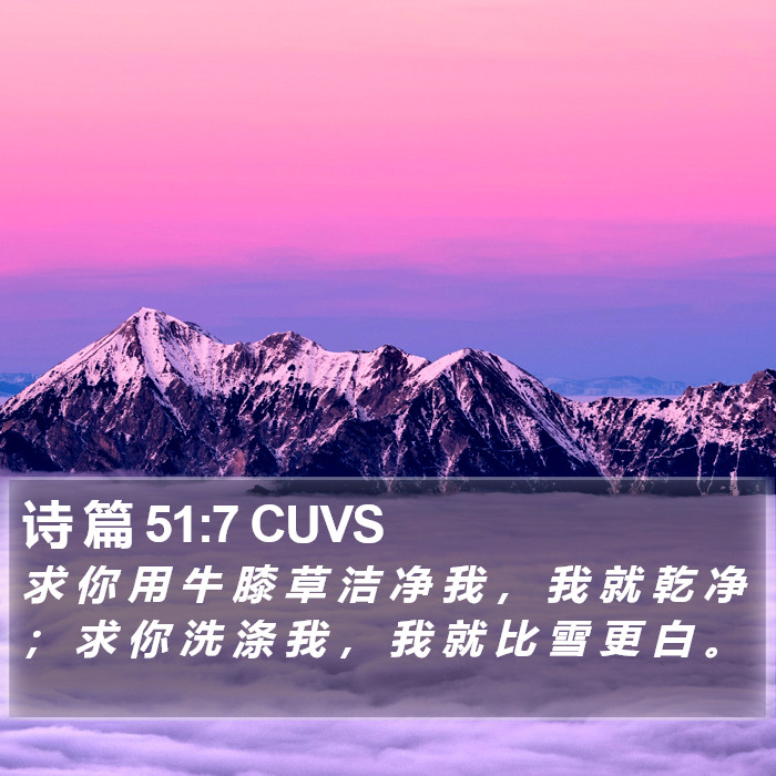 诗 篇 51:7 CUVS Bible Study