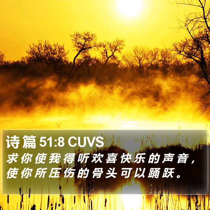 诗 篇 51:8 CUVS Bible Study