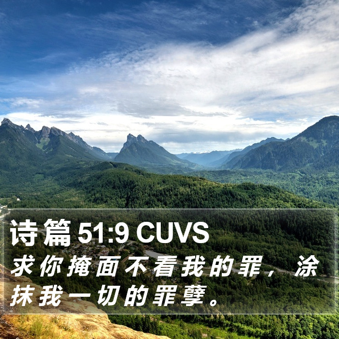 诗 篇 51:9 CUVS Bible Study