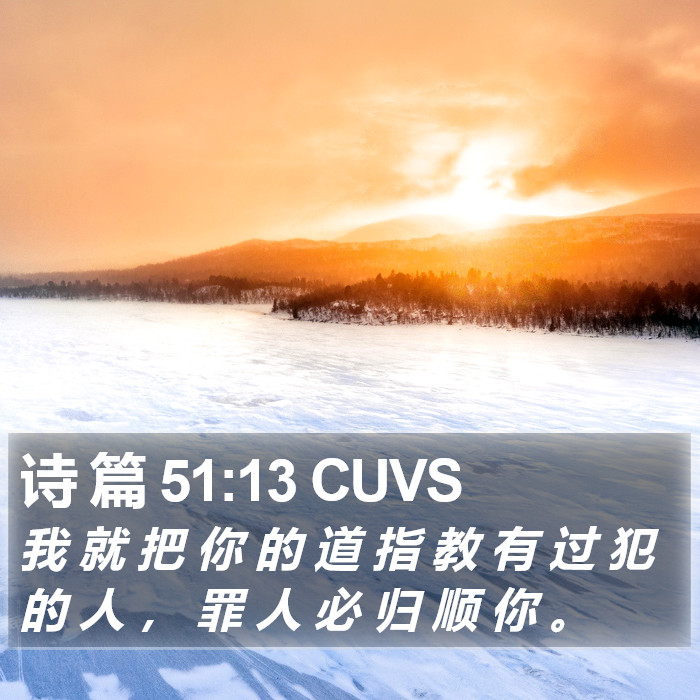 诗 篇 51:13 CUVS Bible Study
