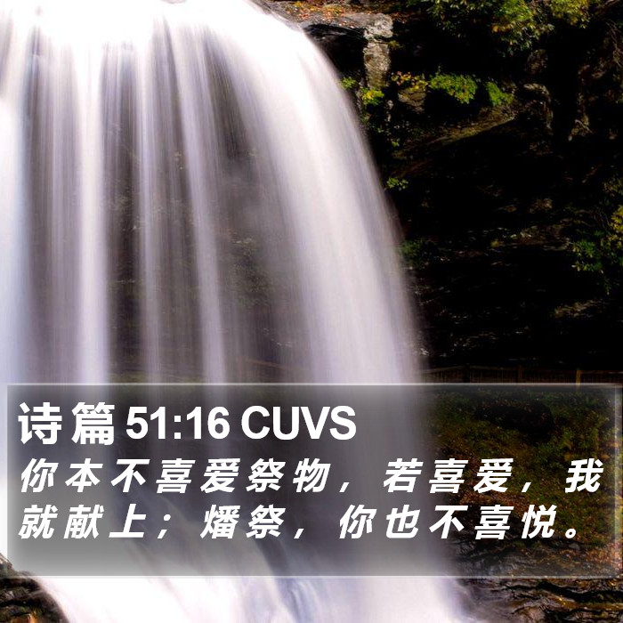 诗 篇 51:16 CUVS Bible Study