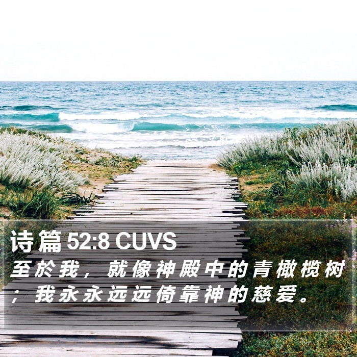 诗 篇 52:8 CUVS Bible Study