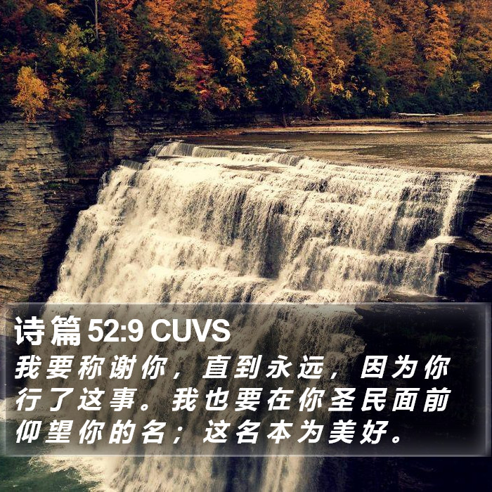 诗 篇 52:9 CUVS Bible Study