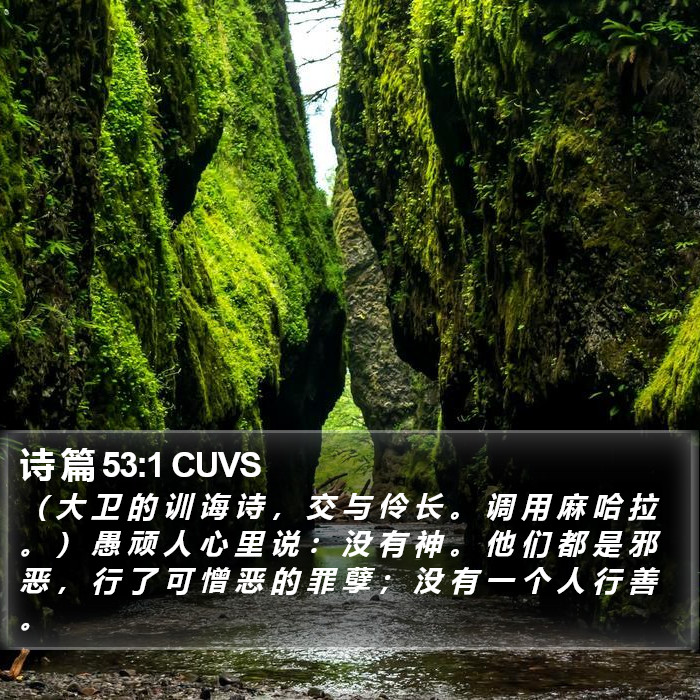诗 篇 53:1 CUVS Bible Study