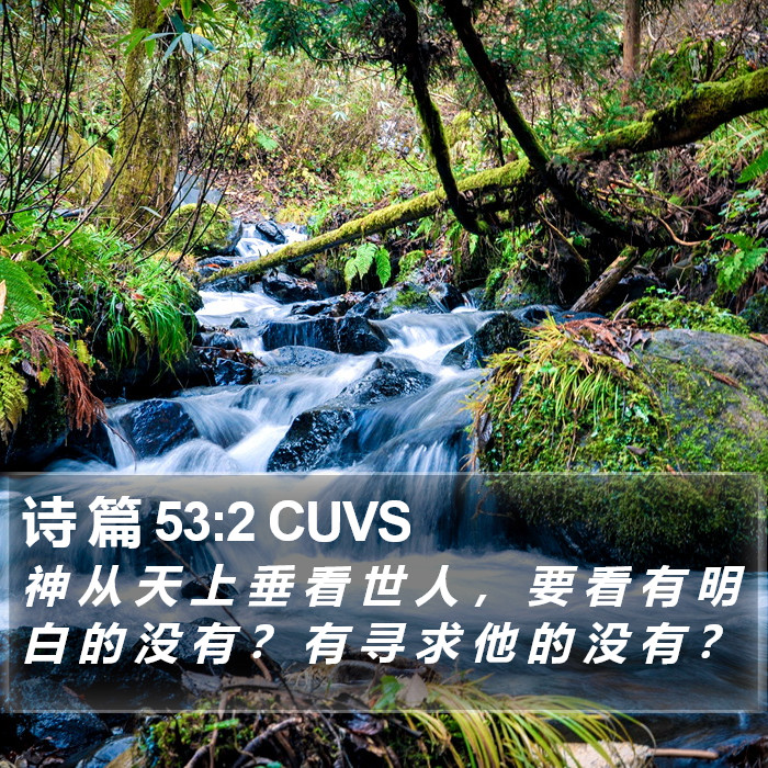 诗 篇 53:2 CUVS Bible Study