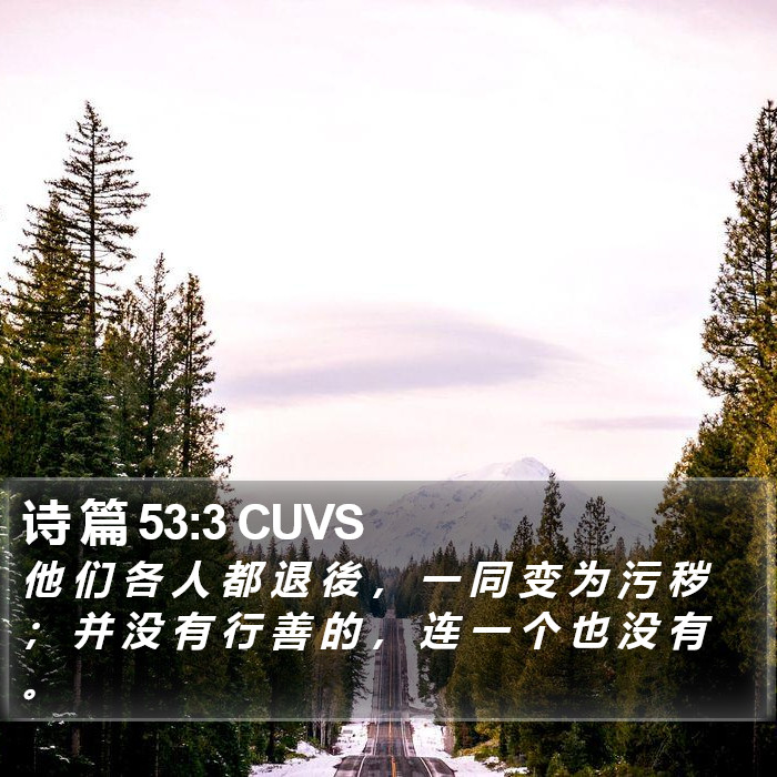 诗 篇 53:3 CUVS Bible Study