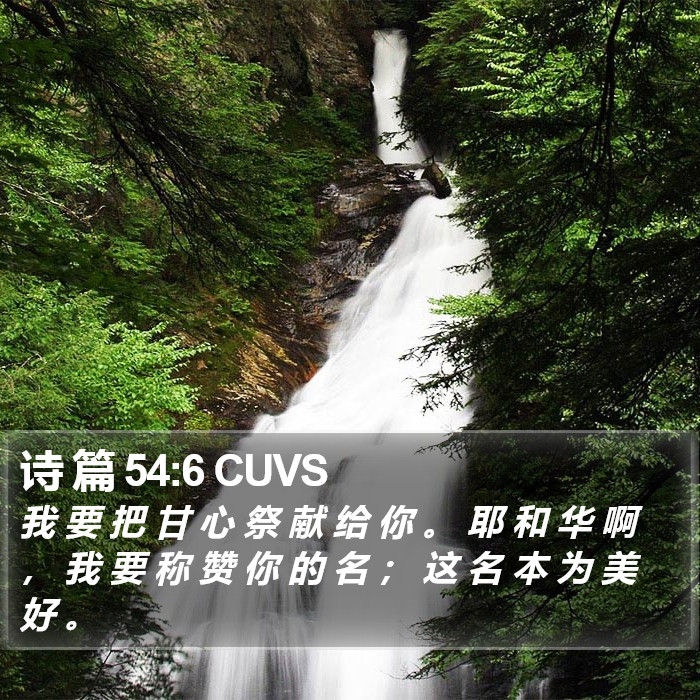 诗 篇 54:6 CUVS Bible Study