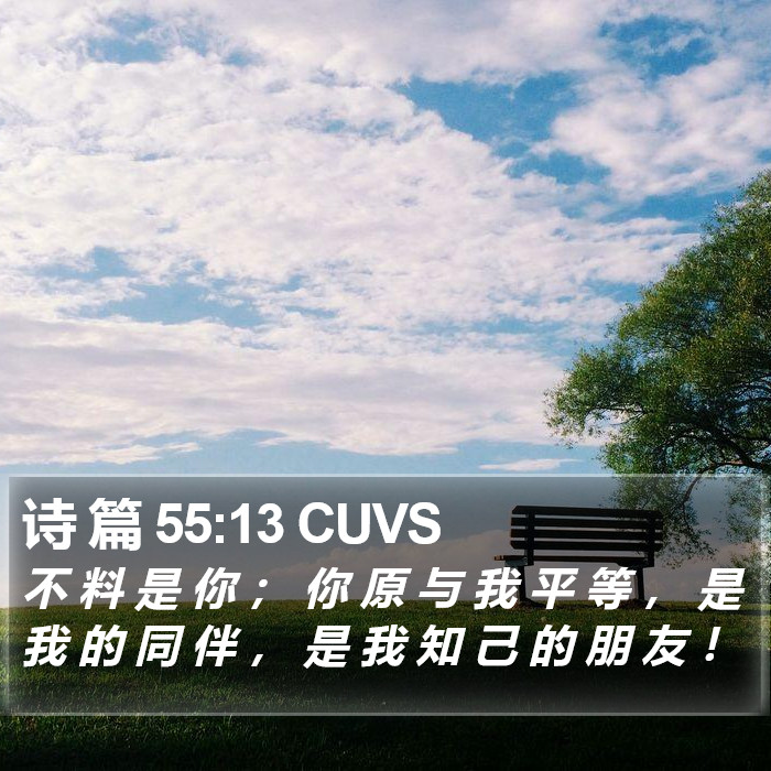 诗 篇 55:13 CUVS Bible Study
