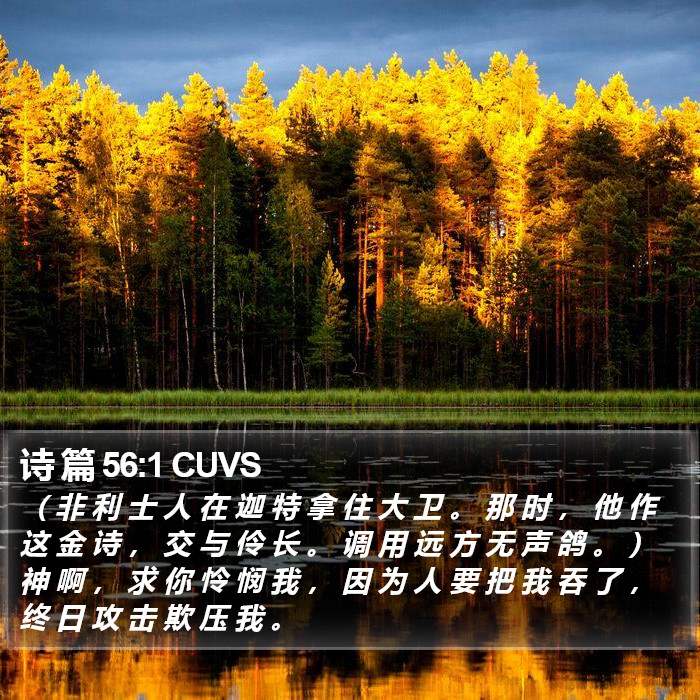 诗 篇 56:1 CUVS Bible Study
